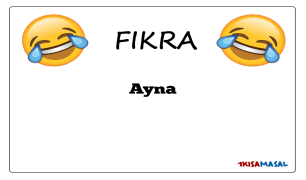 Ayna Fıkrası
